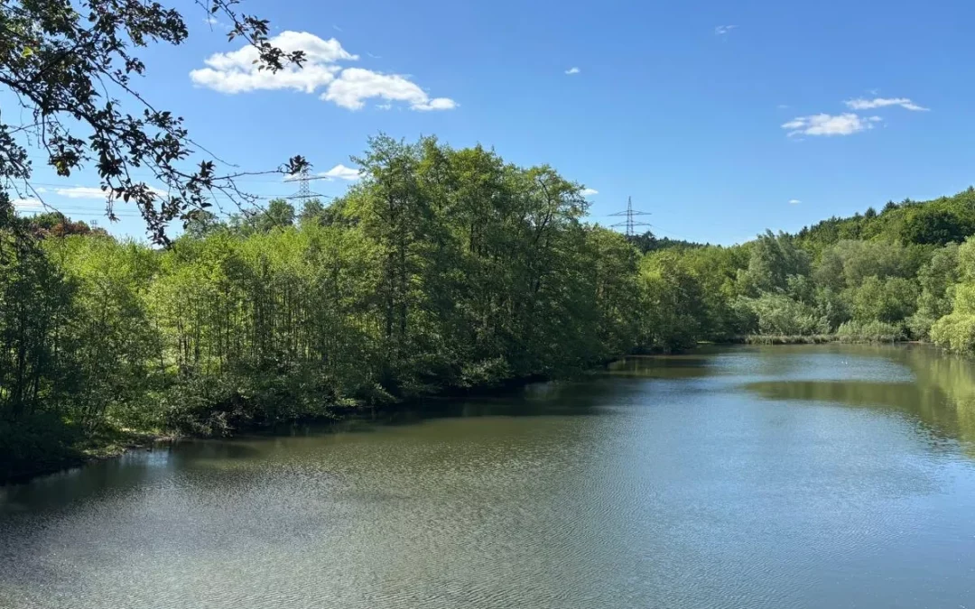 Aufwertung des Geländes am Berger See