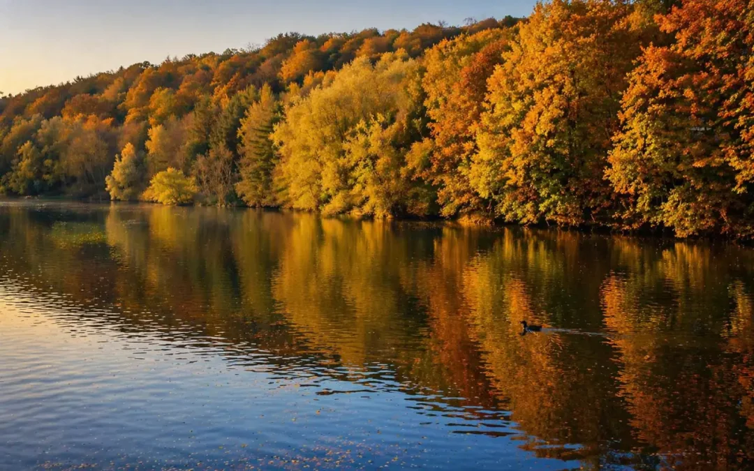 Berger See: Fehlentscheidung mit Ansage